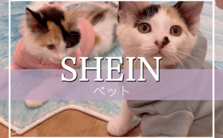 SHEINおすすめペット用品！犬猫服を実際に買ってみたレビューや口コミ情報総まとめ！