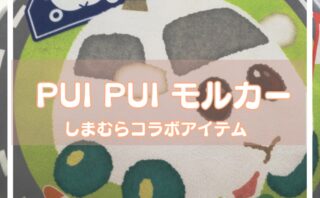 2023年 しまむらで買える!PUI PUI モルカーアイテム
